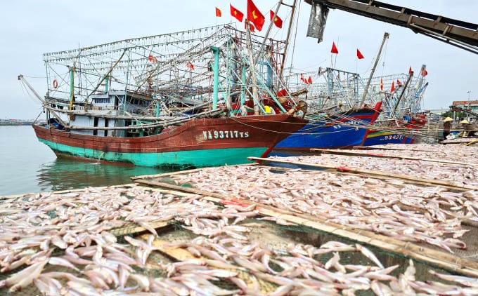 Tổ nghề cá điểm tựa vững chắc cho ngư dân vươn khơi bám biển Tổ nghề cá điểm tựa vững chắc cho ngư dân vươn khơi bám biển