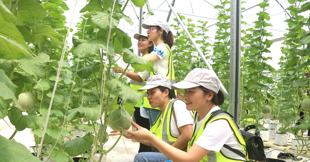 Cơ hội phát triển du lịch nông nghiệp, nông thôn