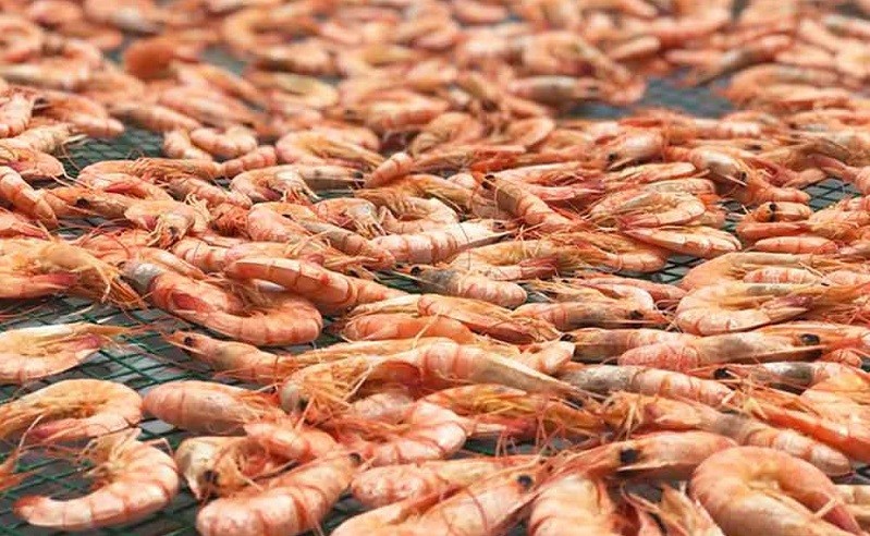 Nghề truyền thống nơi cực nam Tổ quốc