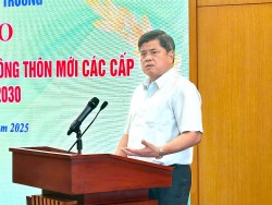 Bộ tiêu chí nông thôn mới tăng tính chủ động cho địa phương
