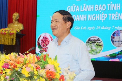 Gia Lai: Doanh nghiệp là động lực, chính quyền là điểm tựa