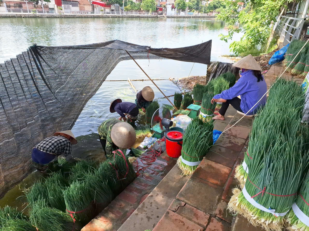 hanh-vong-xuyen.jpeg