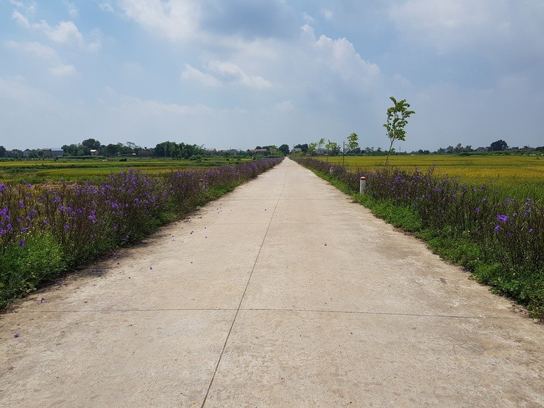 Những tuyến đường liên thôn, liên xã được bê tông hoá kiên cố. Ảnh: VGP/Thiện Tâm