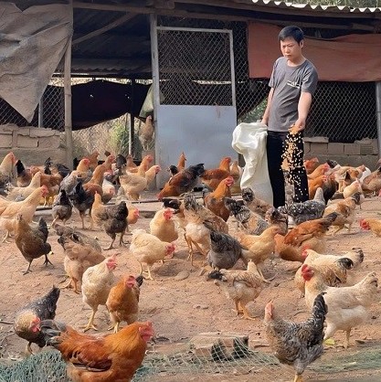 OCOP Quảng Ninh: Khởi nghiệp từ bản sắc, làm giàu từ núi rừng
