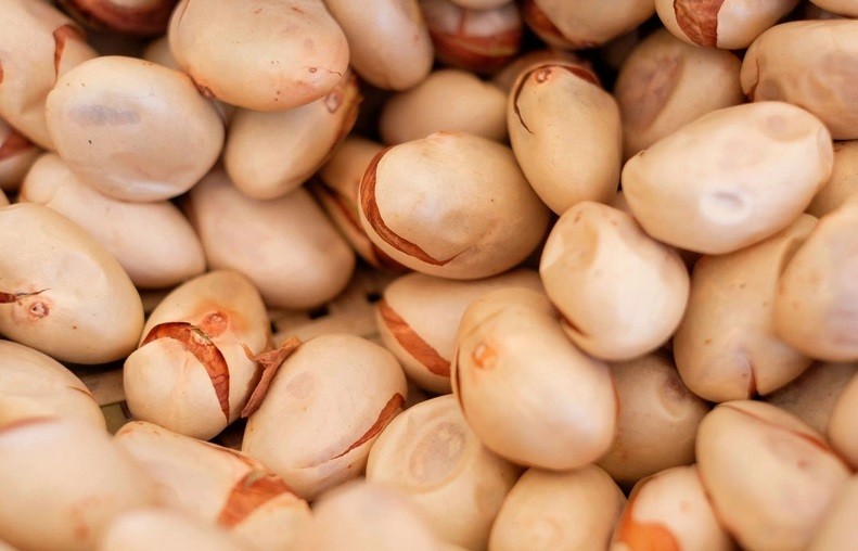 Hạt mít là 'siêu thực phẩm' hỗ trợ giảm cân ít ai ngờ tới