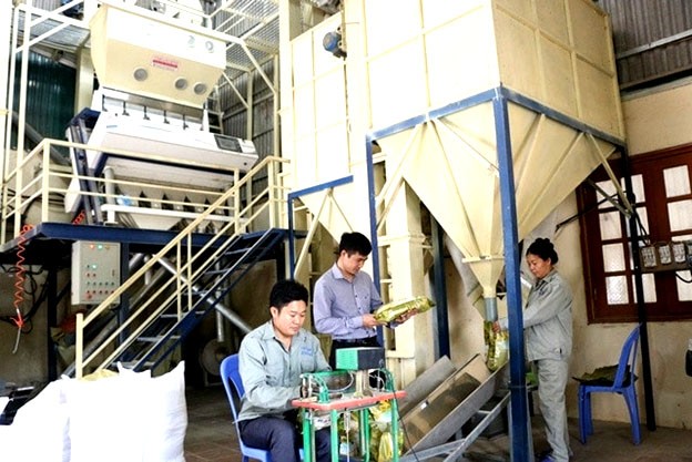 Giai đoạn 2020-2023, Lào Cai đã triển khai 44 đề án khuyến công với  tổng kinh phí hỗ trợ 6 tỷ đồng. 