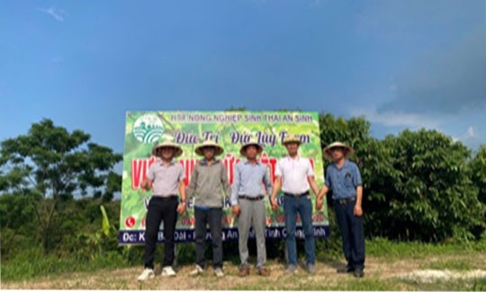 Khách tham quan tại vườn nho sữa Đức Trí 