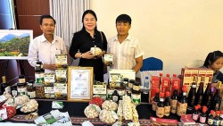 Quảng Ngãi: Tỏi Lý Sơn - “Vàng trắng” vùng biển đảo