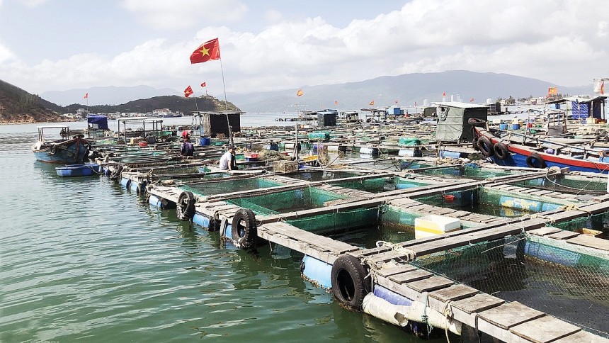 Nuôi trồng thuỷ sản đang trở thành một ngành kinh tế mạnh. Nuôi trồng thuỷ sản đang trở thành một ngành kinh tế mạnh.