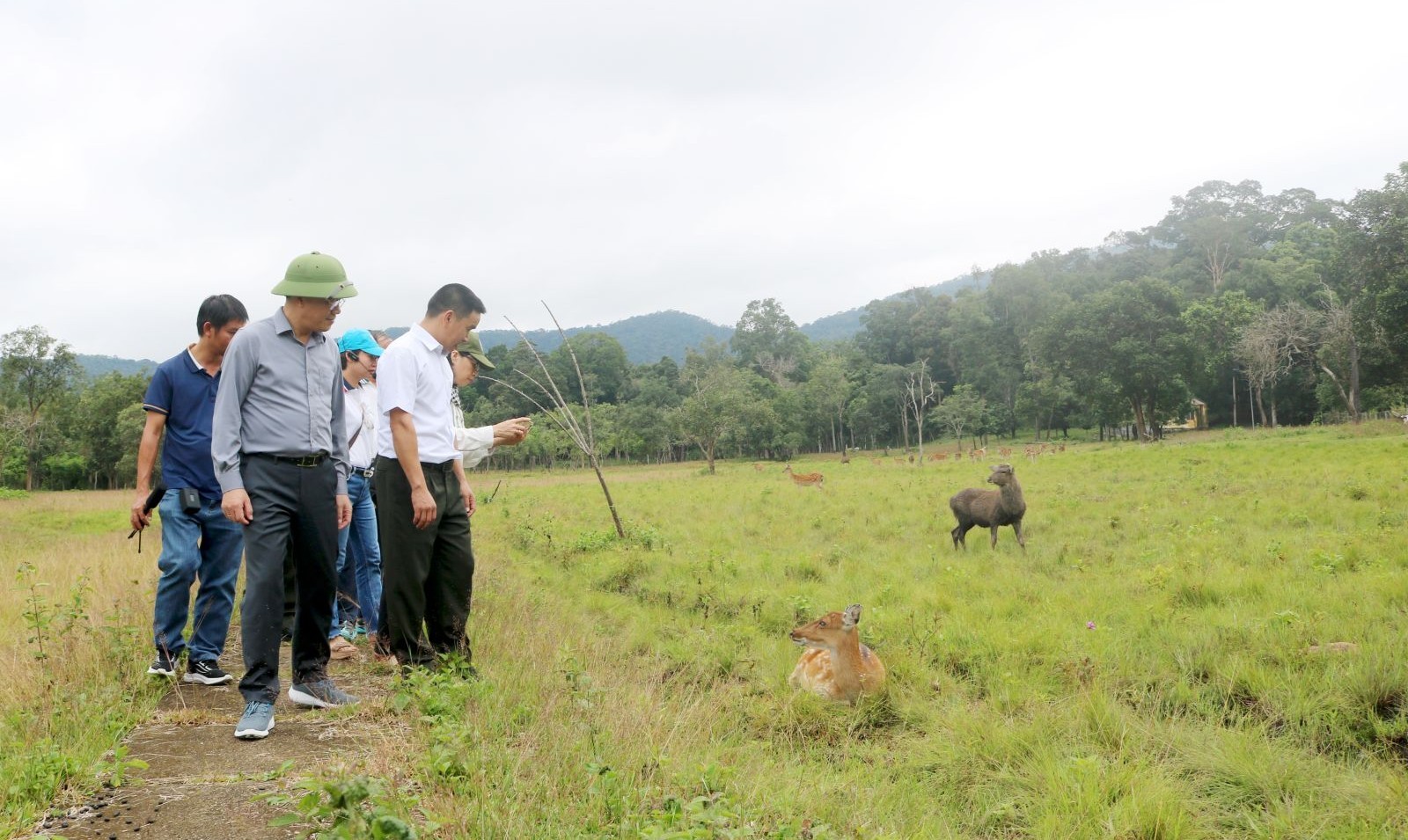 Gia Lai khơi dậy tiềm năng du lịch từ “viên ngọc xanh” Kon Ka Kinh