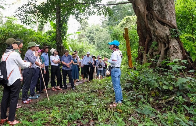 Gia Lai khơi dậy tiềm năng du lịch từ “viên ngọc xanh” Kon Ka Kinh