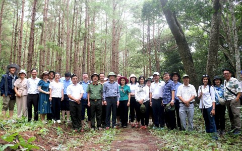 Gia Lai khơi dậy tiềm năng du lịch từ “viên ngọc xanh” Kon Ka Kinh