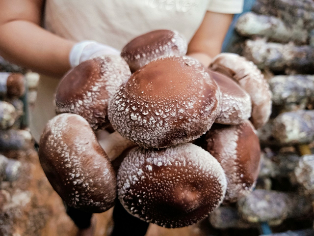 khuyen cong cao bang tu nhung de an nho tao suc bat cho cong nghiep nong thon