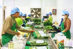 Thúc đẩy chuyển đổi số trong Chương trình OCOP của Thủ đô