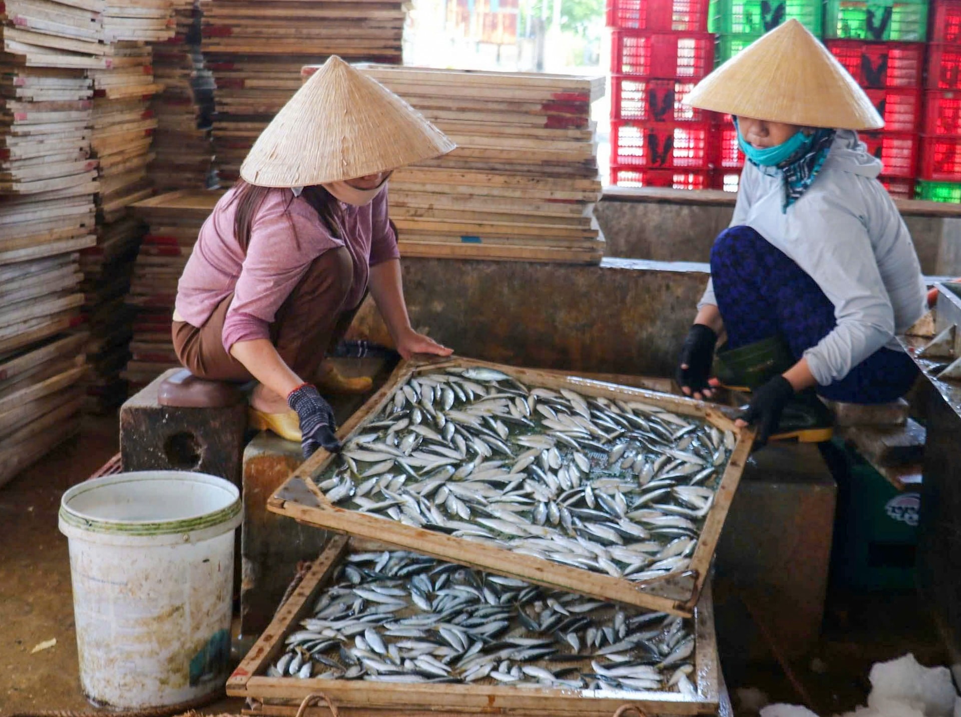 Thách thức về môi trường và hạ tầng tại làng nghề hấp cá Cửa Việt