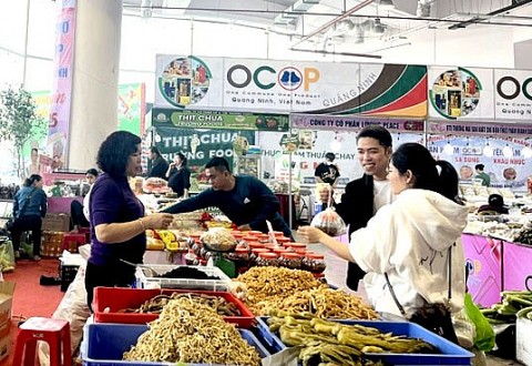 Quảng Ninh tổ chức Hội chợ OCOP và Triển lãm thành tựu kinh tế - xã hội