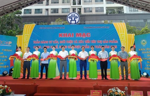 Khai mạc tuần hàng tư vấn, giới thiệu và xúc tiến tiêu thụ sản phẩm năm 2025