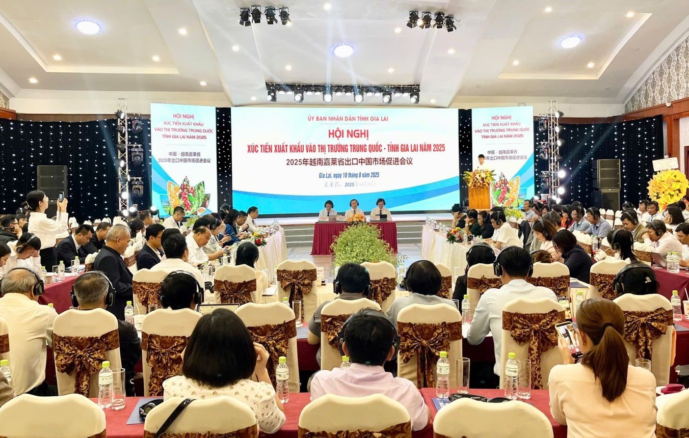 Gia Lai xúc tiến xuất khẩu vào thị trường Trung Quốc, cơ hội mới cho nông sản vươn xa