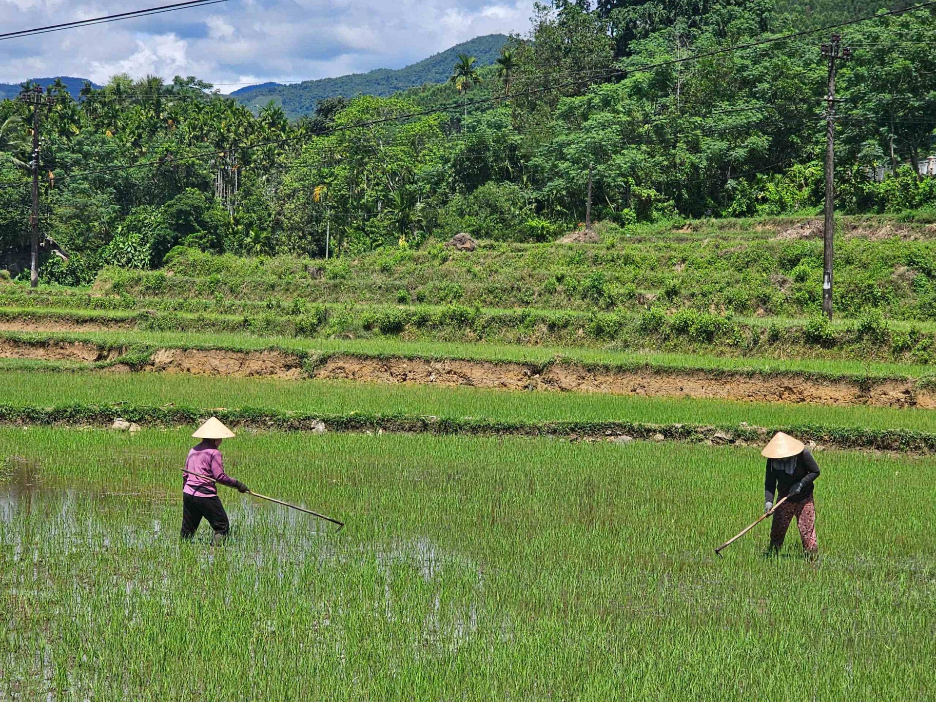 Gia Lai thực hiện Chương trình mục tiêu quốc gia năm 2025 vì sự phát triển bền vững