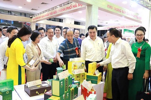 Hội chợ Triển lãm hàng công nghiệp nông thôn năm 2025