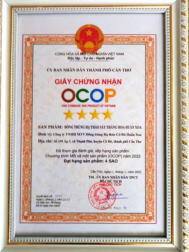 Sản phẩm Đông trùng hạ thảo sấy thăng hoa đạt công nhận sản phẩm OCOP 4 sao Sản phẩm Đông trùng hạ thảo sấy thăng hoa đạt công nhận sản phẩm OCOP 4 sao