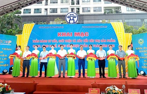 ha noi khai mac tuan hang tu van gioi thieu va xuc tien tieu thu san pham nam 2025