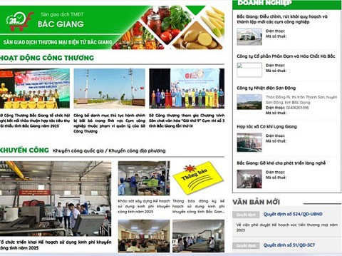 Nâng tầm công nghiệp nông thôn qua hoạt động tư vấn, chuyển đổi số