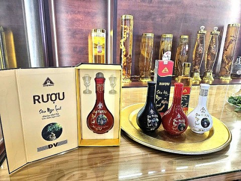 cong ty co phan sam ngoc linh dv