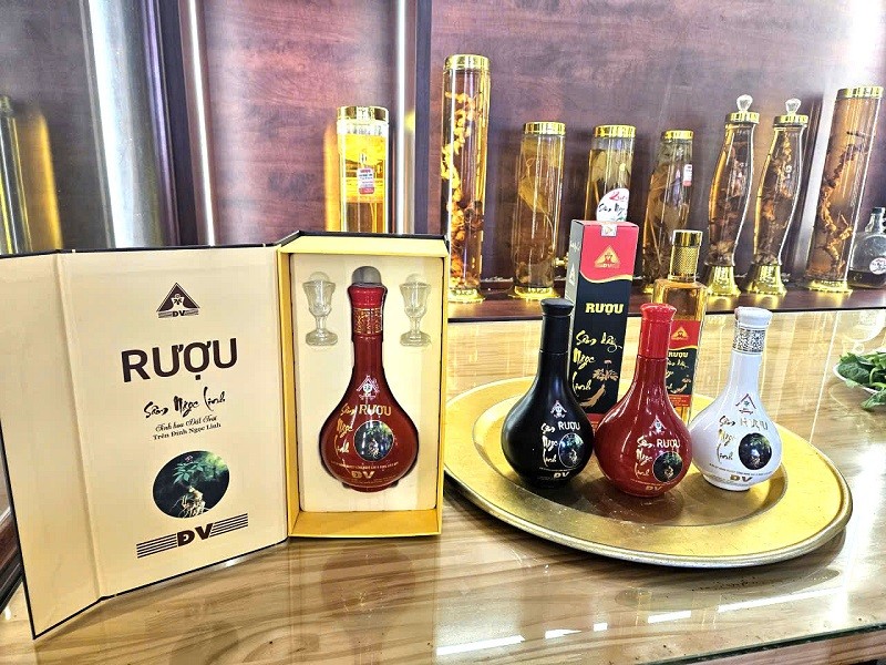 Công ty Cổ phần Sâm Ngọc Linh DV