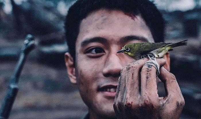 Những cánh chim tự do, bay về Thành cổ, về phía giông bão tìm ngày đất nước tự do, thống nhất Những cánh chim tự do, bay về Thành cổ, về phía giông bão tìm ngày đất nước tự do, thống nhất