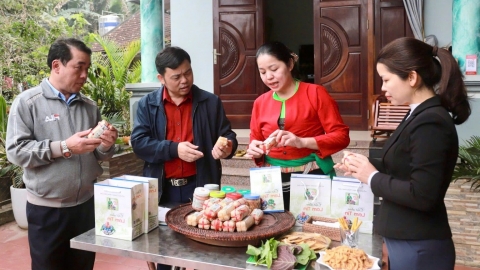 thit chua lam tin vi muong vang len men tu ky uc