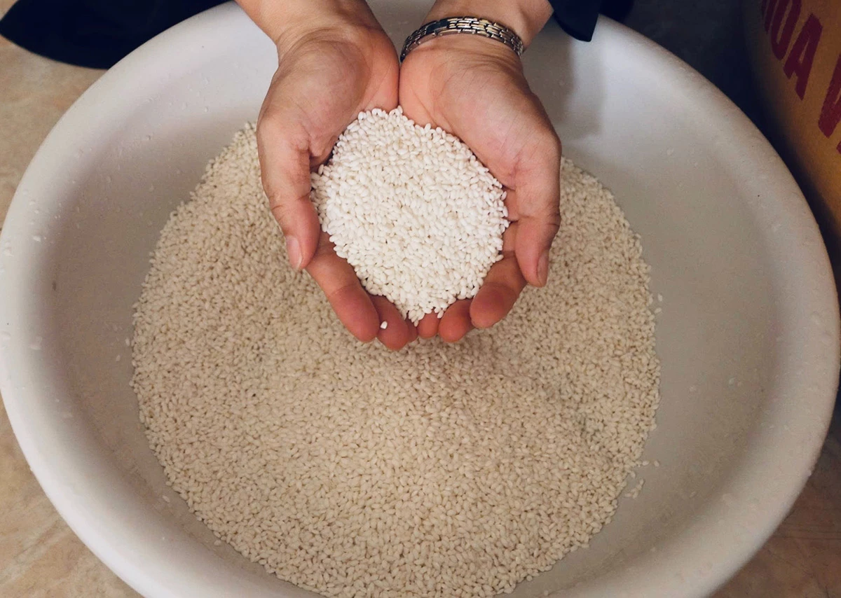 Bánh gio - món ăn truyền thống của người Tày Gạo làm bánh gio là gạo nếp cái hoa vàng hạt tròn, mẩy được chọn kỹ để bánh dẻo thơm, đậm đà hương vị truyền thống.