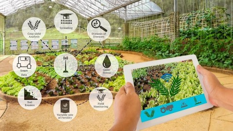 Ứng dụng AI để phát triển trong cơ sở công nghiệp nông thôn