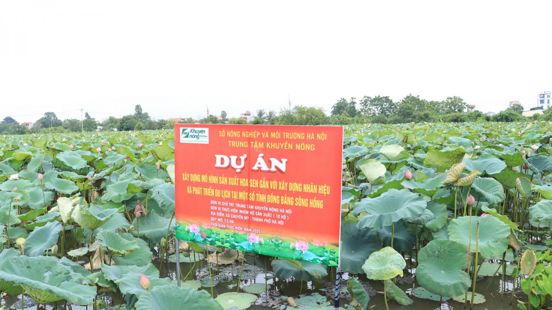 Hà Nội: Xây dựng các mô hình khuyến nông góp phần phát triển nền nông nghiệp sinh thái