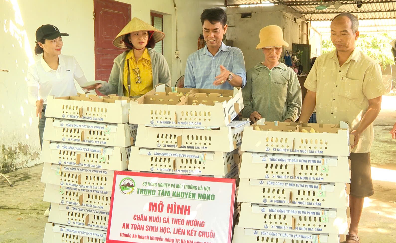 Hà Nội: Xây dựng các mô hình khuyến nông góp phần phát triển nền nông nghiệp sinh thái Hà Nội: Xây dựng các mô hình khuyến nông góp phần phát triển nền nông nghiệp sinh thái