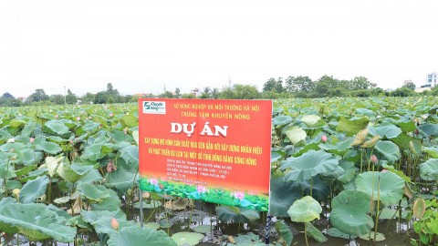 ha noi xay dung cac mo hinh khuyen nong gop phan phat trien nen nong nghiep sinh thai