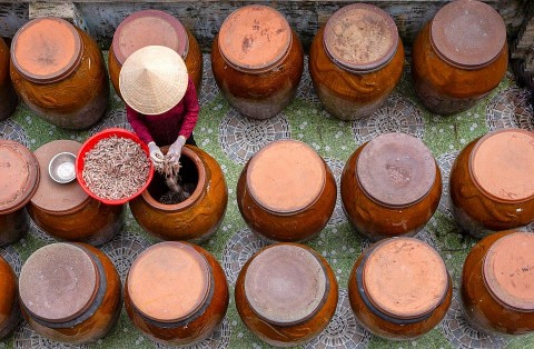 giot mam nam o va cau chuyen tu lang bien tram nam tuoi