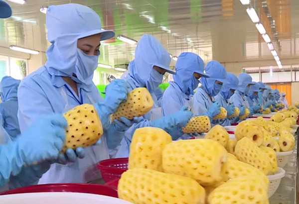 Đẩy mạnh thu hút đầu tư chế biến nông sản, phát huy lợi thế công nghiệp nông thôn