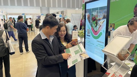 hoi cho du lich quoc te tp hcm 2025 noi san pham ocop viet toa sang