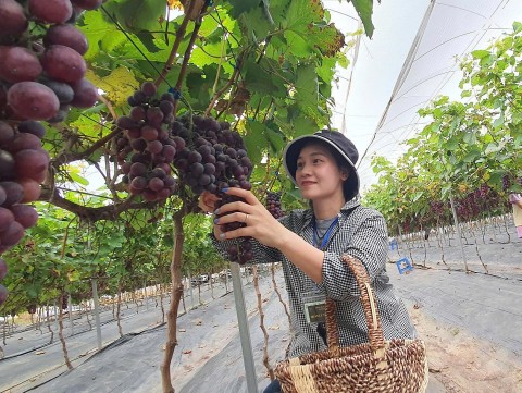 nong dan tre tien phong voi mo hinh nong nghiep sinh thai gan voi du lich trai nghiem