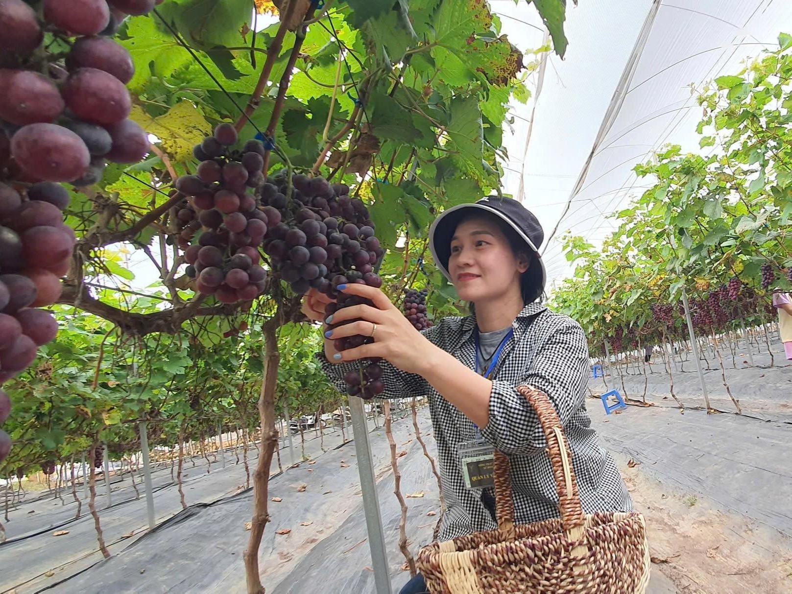 Nông dân trẻ tiên phong với mô hình nông nghiệp sinh thái gắn với du lịch trải nghiệm
