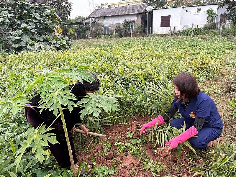 Ở mảnh đất Quảng Trị, hạt gạo, rau củ, quả không đơn thuần là nguyên liệu chế biến bữa ăn hằng ngày, mà đã trở thành khát vọng, cảm hứng khởi nghiệp của nhiều người trẻ Ở mảnh đất Quảng Trị, hạt gạo, rau củ, quả không đơn thuần là nguyên liệu chế biến bữa ăn hằng ngày, mà đã trở thành khát vọng, cảm hứng khởi nghiệp của nhiều người trẻ