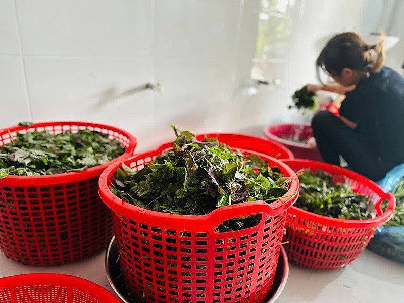 Doanh nghiệp đặt mục tiêu, sản phẩm cuối cùng không chỉ ngon mà còn phải giữ trọn vẹn giá trị dinh dưỡng tự nhiên, không sử dụng hóa chất bảo quản, mang đến sự an tâm tuyệt đối cho người dùng Doanh nghiệp đặt mục tiêu, sản phẩm cuối cùng không chỉ ngon mà còn phải giữ trọn vẹn giá trị dinh dưỡng tự nhiên, không sử dụng hóa chất bảo quản, mang đến sự an tâm tuyệt đối cho người dùng