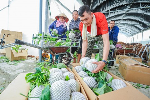Trường Tân bứt phá nhờ nông nghiệp công nghệ cao