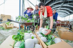 Trường Tân bứt phá nhờ nông nghiệp công nghệ cao