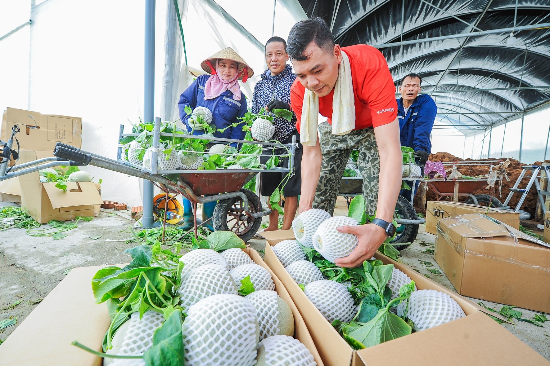 Trường Tân bứt phá nhờ nông nghiệp công nghệ cao
