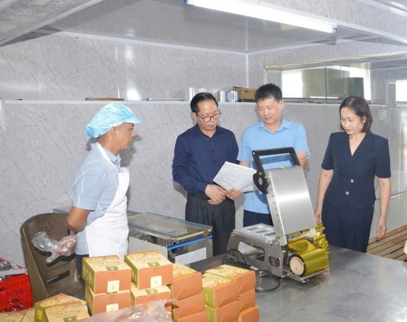 Hỗ trợ ứng dụng máy móc thiết bị sản xuất, chế biến sữa chua khô