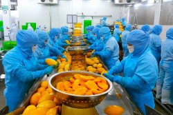 Tăng trưởng bứt phá vượt chỉ tiêu