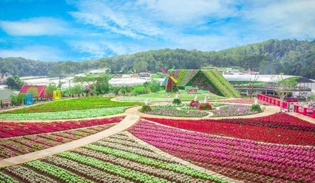 Làng hoa Vạn Thành không ngừng đổi mới và hội nhâp