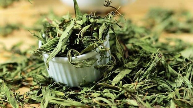 Cỏ ngọt sấy khô mang đến nhiều tác dụng tốt cho sức khỏe Cỏ ngọt sấy khô mang đến nhiều tác dụng tốt cho sức khỏe